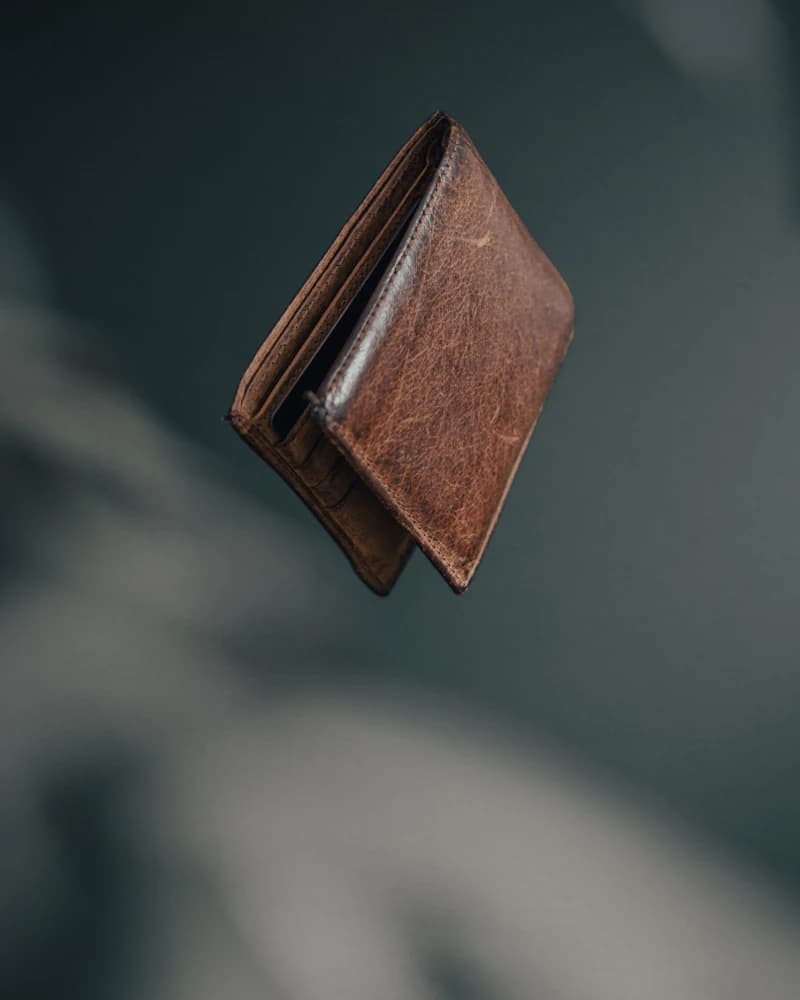 Vayu Audio Cabin Size Wallet