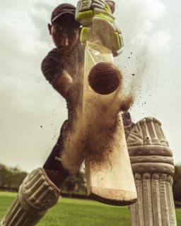 Mitti & Co Compact Cricket Bat